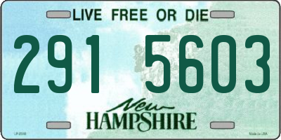 NH license plate 2915603