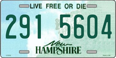 NH license plate 2915604