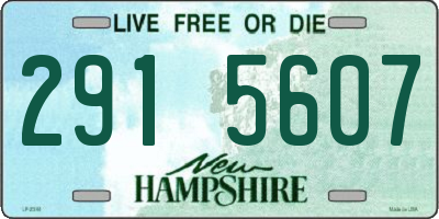 NH license plate 2915607