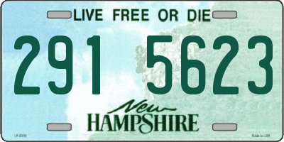 NH license plate 2915623