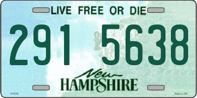 NH license plate 2915638