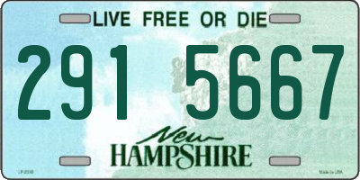 NH license plate 2915667