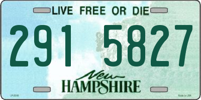 NH license plate 2915827