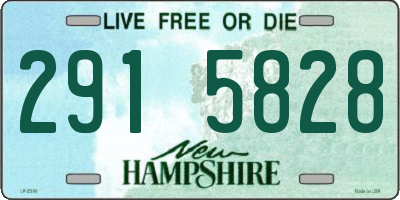 NH license plate 2915828