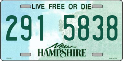 NH license plate 2915838