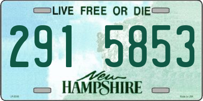 NH license plate 2915853