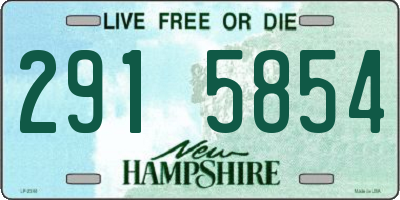 NH license plate 2915854