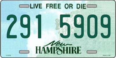 NH license plate 2915909