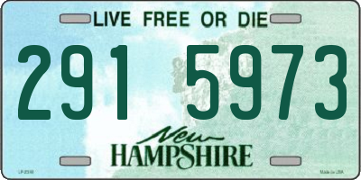 NH license plate 2915973