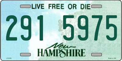 NH license plate 2915975