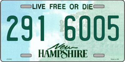 NH license plate 2916005
