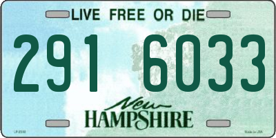 NH license plate 2916033