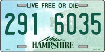 NH license plate 2916035