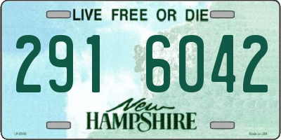 NH license plate 2916042
