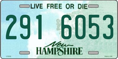 NH license plate 2916053