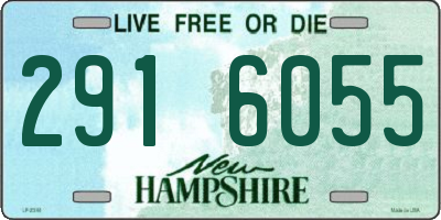 NH license plate 2916055