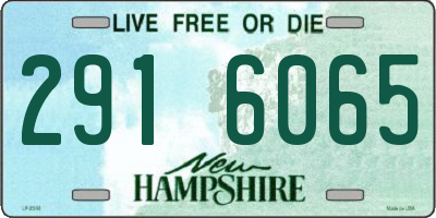NH license plate 2916065