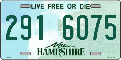 NH license plate 2916075