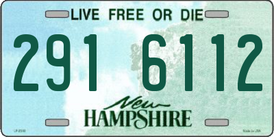 NH license plate 2916112