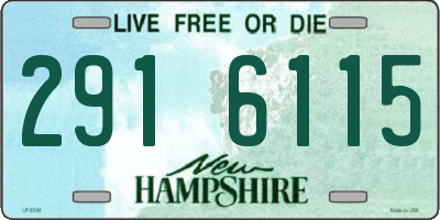 NH license plate 2916115