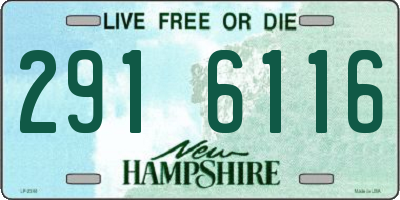NH license plate 2916116