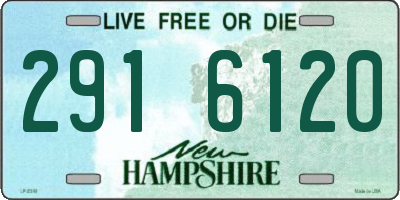 NH license plate 2916120