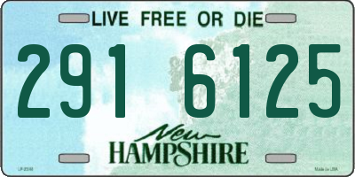 NH license plate 2916125