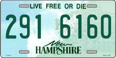 NH license plate 2916160