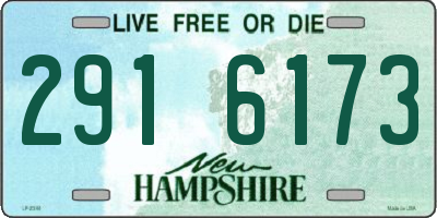 NH license plate 2916173