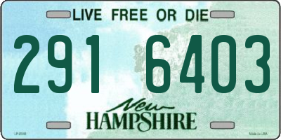 NH license plate 2916403