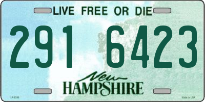 NH license plate 2916423