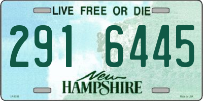 NH license plate 2916445