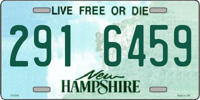 NH license plate 2916459