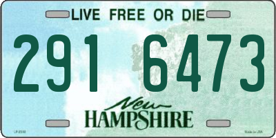 NH license plate 2916473