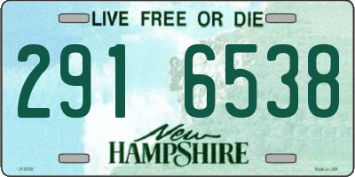 NH license plate 2916538