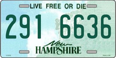 NH license plate 2916636