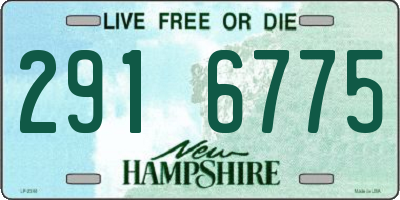 NH license plate 2916775