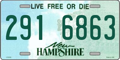 NH license plate 2916863