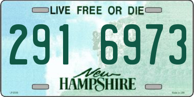 NH license plate 2916973