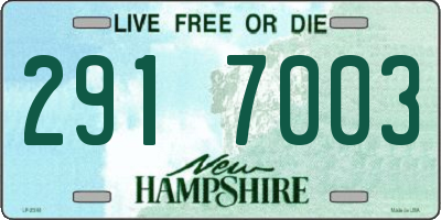 NH license plate 2917003