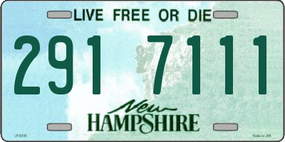 NH license plate 2917111