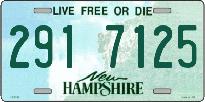 NH license plate 2917125