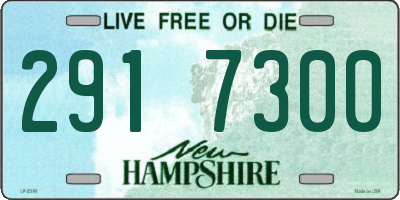 NH license plate 2917300