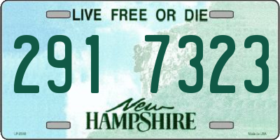 NH license plate 2917323