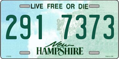 NH license plate 2917373