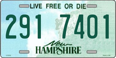 NH license plate 2917401
