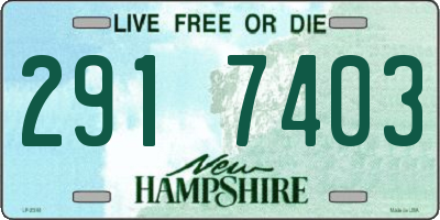 NH license plate 2917403
