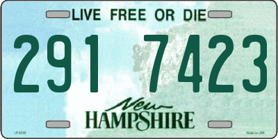 NH license plate 2917423