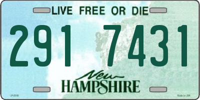 NH license plate 2917431