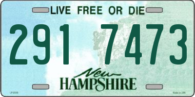 NH license plate 2917473